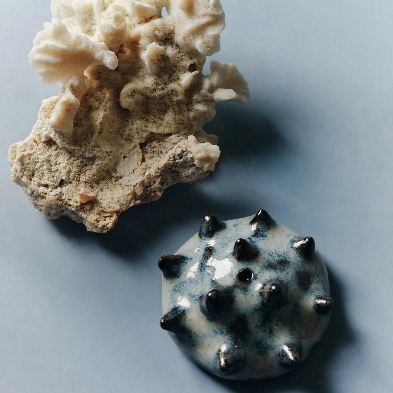 Foraged Urchin Ceramic Incense Holder - Urganiqa